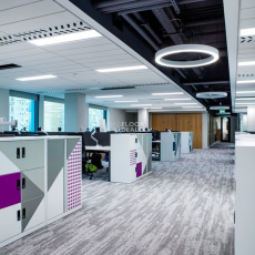 Art Style Коллекция Shared Path Shared Path 924 фото 5 | FLOORDEALER